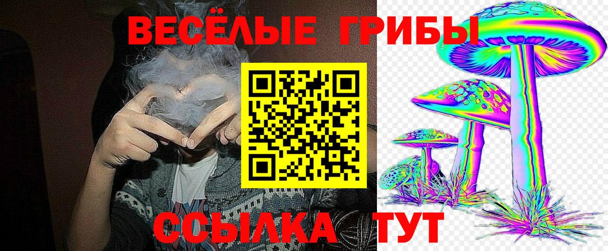 Псилоцибиновые грибы Psilocybe  Псилоцибиновые грибы Cubensis  Вход с VPN  Соль-Илецк 